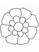 Coloring Flower Simple Flowers Colouring Popular Printable sketch template