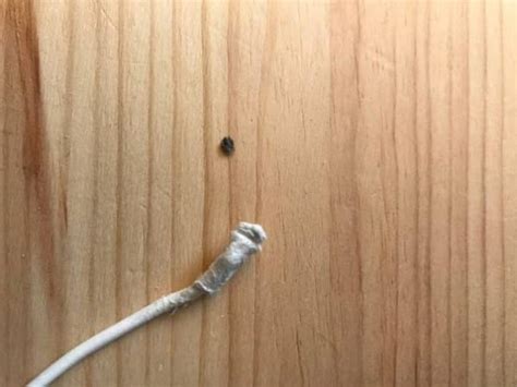 clean iphone cable  port  fix intermittent charging thetechmentorcom