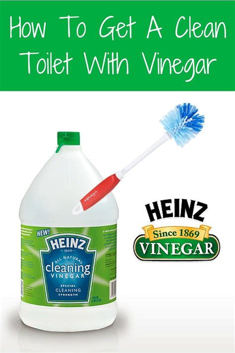 clean toilet  vinegar toilet cleaning cleaning