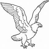 Eagle Bald Drawing Coloring Eagles Soaring Pages Easy Line Printable Simple Outline Tattoo Kids Drawings Flying Book Philadelphia Pole Totem sketch template
