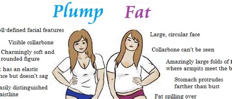 The Difference Between A Fat Woman And A Plump One According To One
