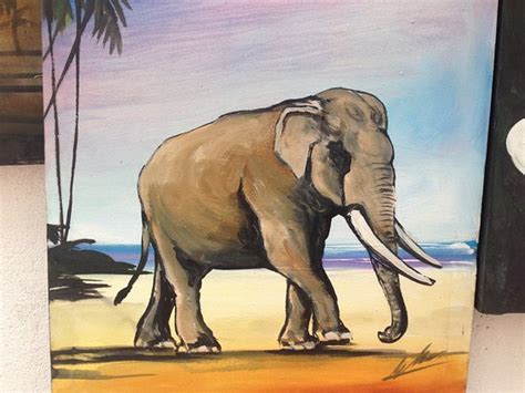 Sri Lanka Elephant Picture Of Aurora The Art Gallery