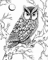 Owl Pages Drawing Burning Wood Night Coloring Drawings Owls Patterns Deviantart Color Screech Great Bezaleel Wisdom Pyrography Sizzling Draw Uploaded sketch template
