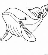 Baleine Baleines Colorier sketch template