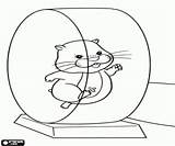 Hamster Wheel Coloring Pipsqueak sketch template