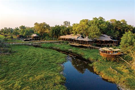 safari lodge treehouse tucked   botswanas okavango delta architectural digest