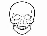 Skull Human Coloring Coloringcrew sketch template