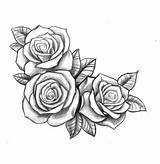 Tattoo Rose Drawing Roses Getdrawings sketch template