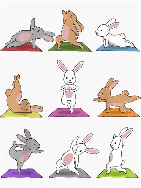 bunny yoga funny rabbits  yoga poses sports tee sticker