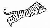 Tiger Template Outline Shape Templates Colouring Clipart Pages Animal Clip sketch template
