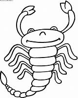 Coloring Pages Scorpion Zodiac Scorpio Printable Sign Color Kids Animals Scorpions Painting Click Worksheets Other Categories sketch template