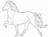 Horse Iceland Coloring Pages Icelandic Baby Deviantart Draw Horses Getcolorings Fascinating Visit Island Sheets Colouring Choose Board Print Hor sketch template