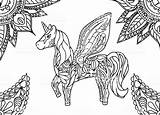 Einhorn Unicorn Unicorno Paisley Ausdrucken Malvorlage Horizontale Verzierung Unicornio Ornamento Orizzontale Coloriage Licornes Erwachsene Mandalas Farbtonseite Eenhoorn Kleurende Volwassen Alas sketch template