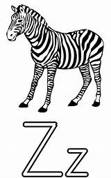 Zebra Coloring Letter Kids Alphabet Pages Worksheets Printable Letterz Letters Education Numbers Webp Print Class Formats Available Comments sketch template
