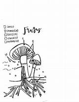 Coloring Fungi Getdrawings sketch template