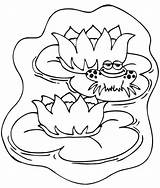 Coloring Frog Pond Lily Pad Pages Prince Smile Animals Sitting While Color Getcolorings Printable Drawing Popular Colouring Getdrawings sketch template