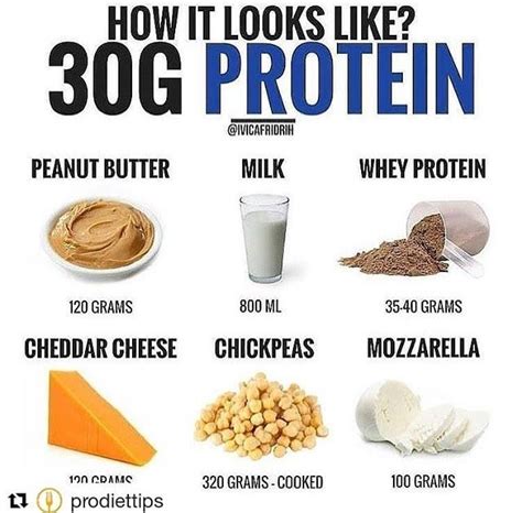 grams  protein    grams  protein
