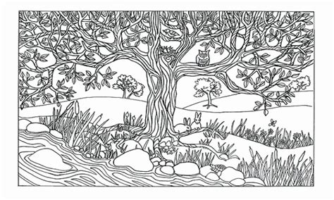 nature coloring pages  adults ideas