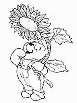 Pooh Winnie Girasoli Stampare Kleurplaten Tekeningen sketch template