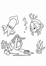 Calamari Colorare Pesce Scarica sketch template