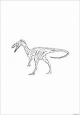 Coelophysis Dinosaur Bauri Online Pages Coloring Color sketch template