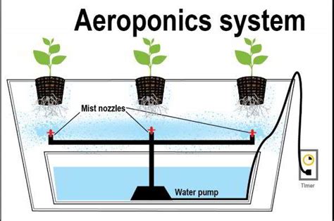 gambar diagram aeroponik system mitalom