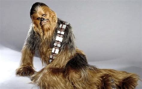 1000 images about wookie star wars on pinterest