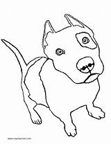 Coloring Pit Puppy Bull Pitbull Pages Printable Dog sketch template