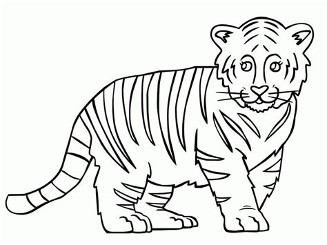 outline   tiger coloring home