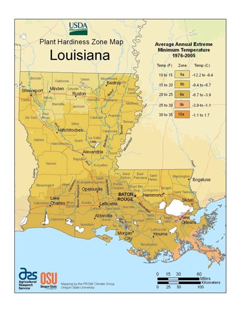 planting growing zones   usa  guide howzoo