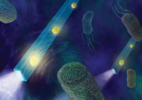 optical nanofiber hears bacteria swim cancer cells move  san diego union tribune