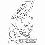 Pelican Coloring Pages Louisiana Brown Getcolorings Color Top State sketch template