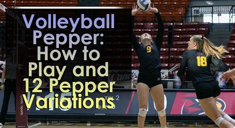 volleyball pepper   play   pepper variations volleyball expert