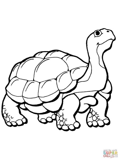 tortoise coloring page  printable coloring pages turtle
