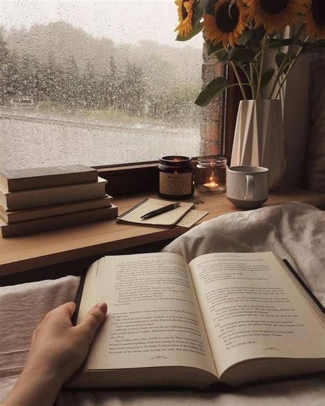 read  book book aesthetic cozy aesthetic brown aesthetic