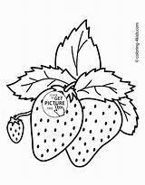 Strawberries sketch template