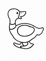 Coloring Duck Pages Printable Farm Animal Animals Sheets Sheet sketch template