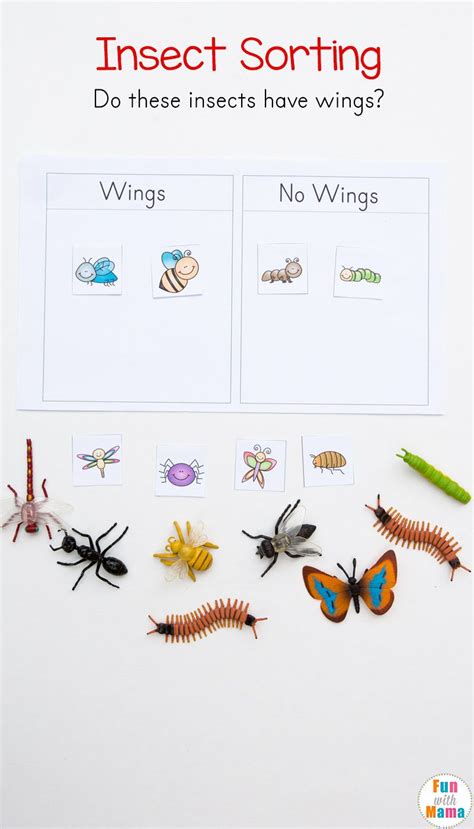 insects theme preschool bugs preschool preschool curriculum