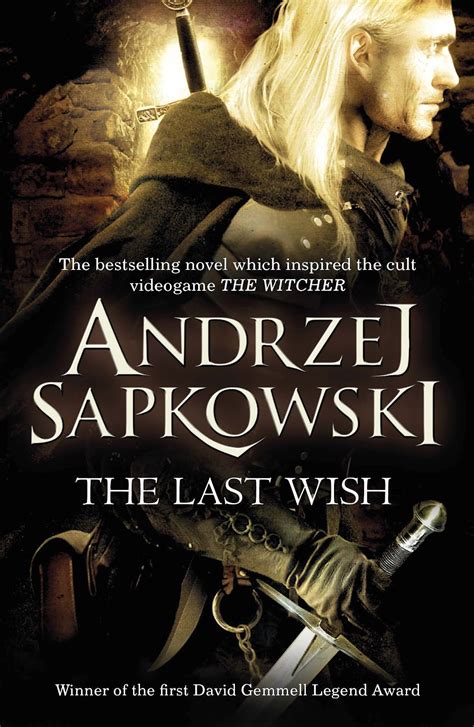witcher books   stories   gamers decide