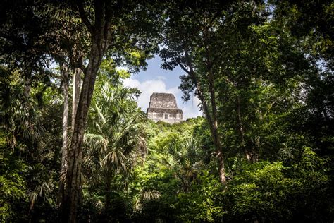 Canadian Teen Discovers Lost Mayan City Condé Nast Traveler