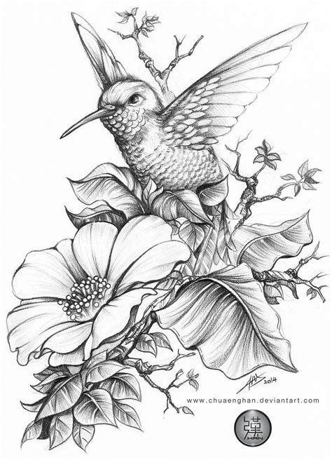 coloring pages flowers butterflies  hummingbirds