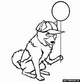 Coloring Pages Dogs Online Elkhound Norwegian Thecolor sketch template