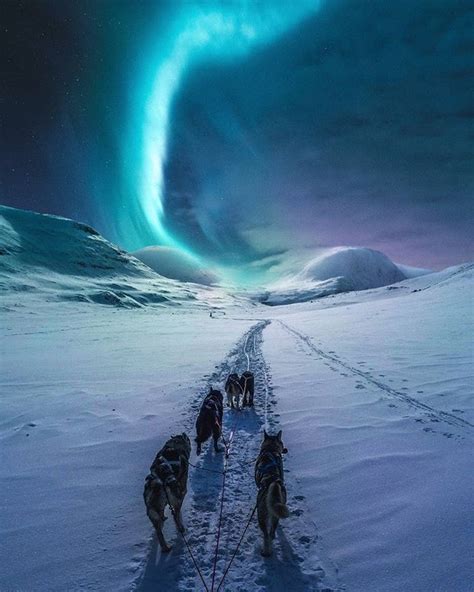 enjoying the northern lights in norway with the man s best friends by flecce in 2019