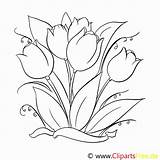Malvorlagen Malvorlage Tulpen Frisch Blumenzeichnung Erstaunlich Innen Kinderbilder sketch template