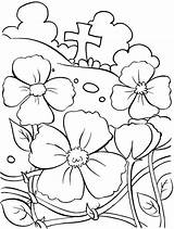 Remembrance Coloring Pages November Poppy Colouring Template Coloringsun Sheets sketch template