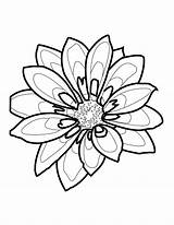Outline Drawing Colouring Flowers Flower Paintingvalley Outlines sketch template