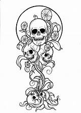 Coloring Skulls Death Thrive sketch template