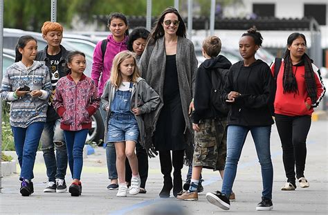 angelina jolie expanding  family  brad national enquirer