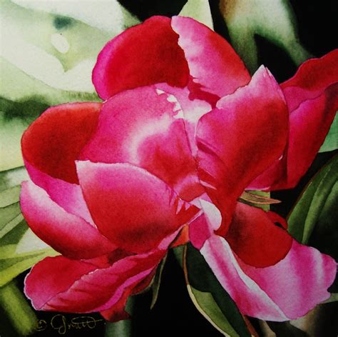 contemporary realism hot pink peony