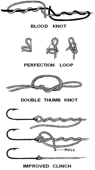 fishing knots basic leader knots  tying fishing lines